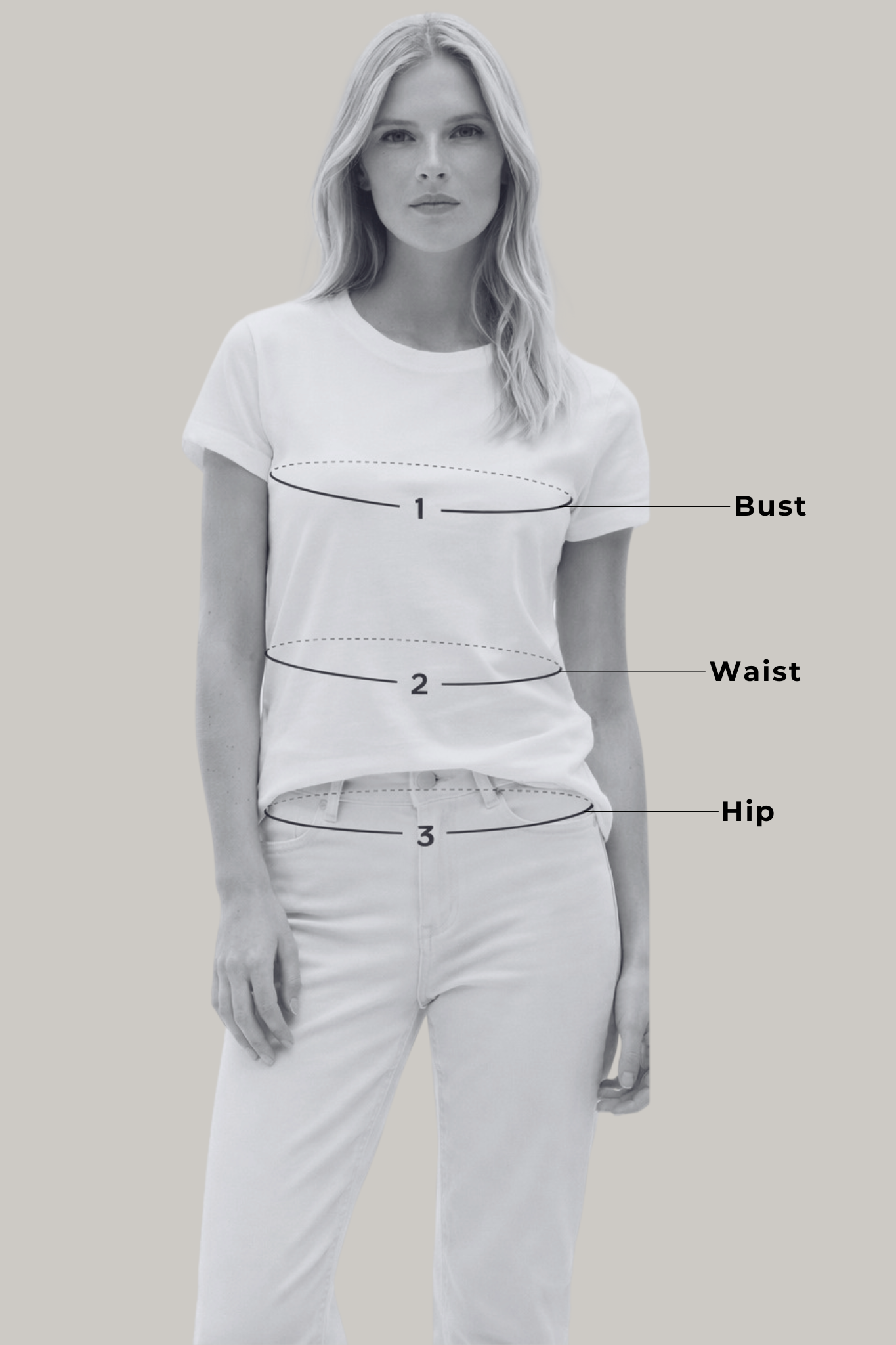 Taking your measurements guide